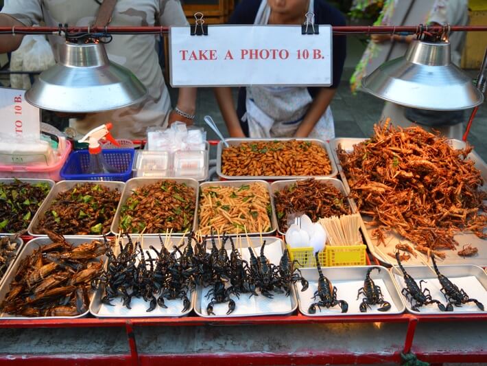 Que tal provar um insetos