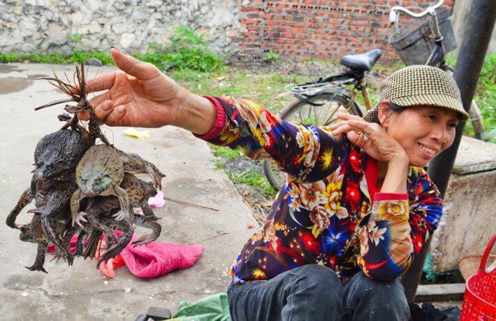 Mercado local da própria vila