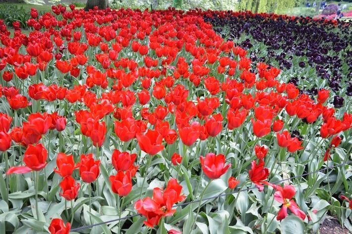 Atração ar livre na Europa