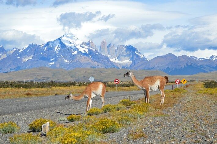 Como fazer as trilhas de Torres del Paine
